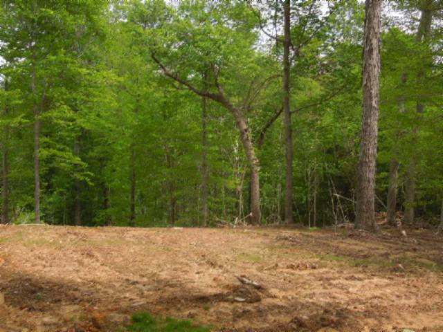 0 Turkey Town Road Hilham, TN 38568 - Photo 11 of 13 Gallery Image 11