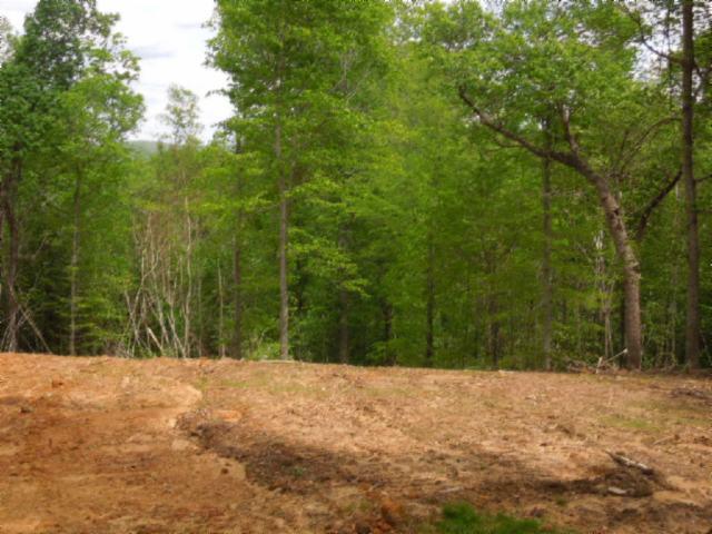 0 Turkey Town Road Hilham, TN 38568 - Photo 12 of 13 Gallery Image 12