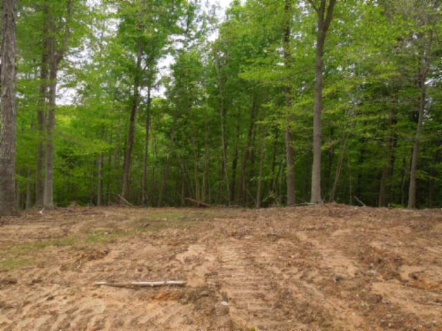 0 Turkey Town Road Hilham, TN 38568 - Photo 4 of 13 Gallery Image 4