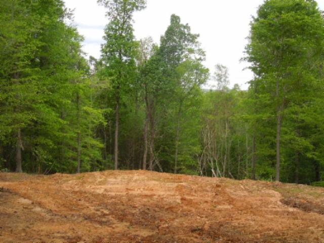 0 Turkey Town Road Hilham, TN 38568 - Photo 5 of 13 Gallery Image 5