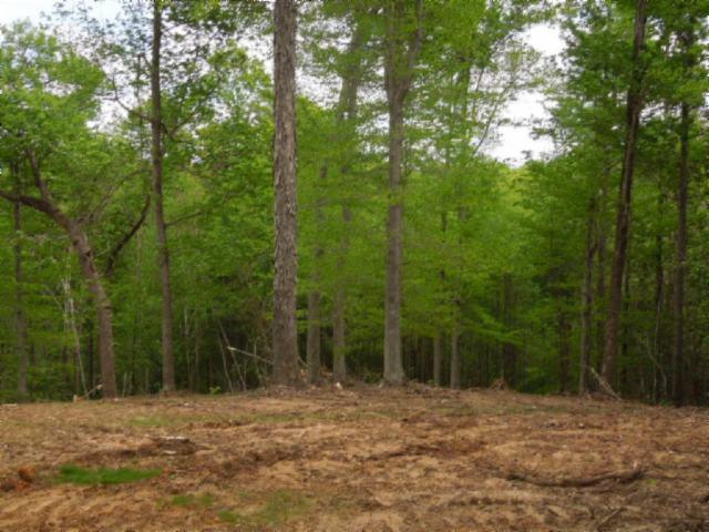 0 Turkey Town Road Hilham, TN 38568 - Photo 6 of 13 Gallery Image 6
