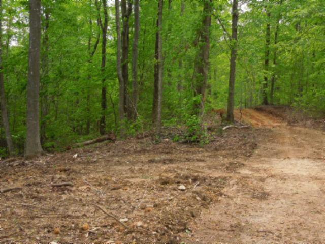0 Turkey Town Road Hilham, TN 38568 - Photo 9 of 13 Gallery Image 9