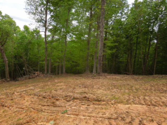 0 Turkey Town Road Hilham, TN 38568 - Photo 10 of 13 Gallery Image 10