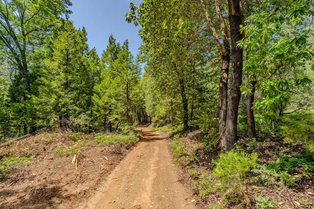 $425,000 | Undisclosed Address, Pioneer, CA 95666