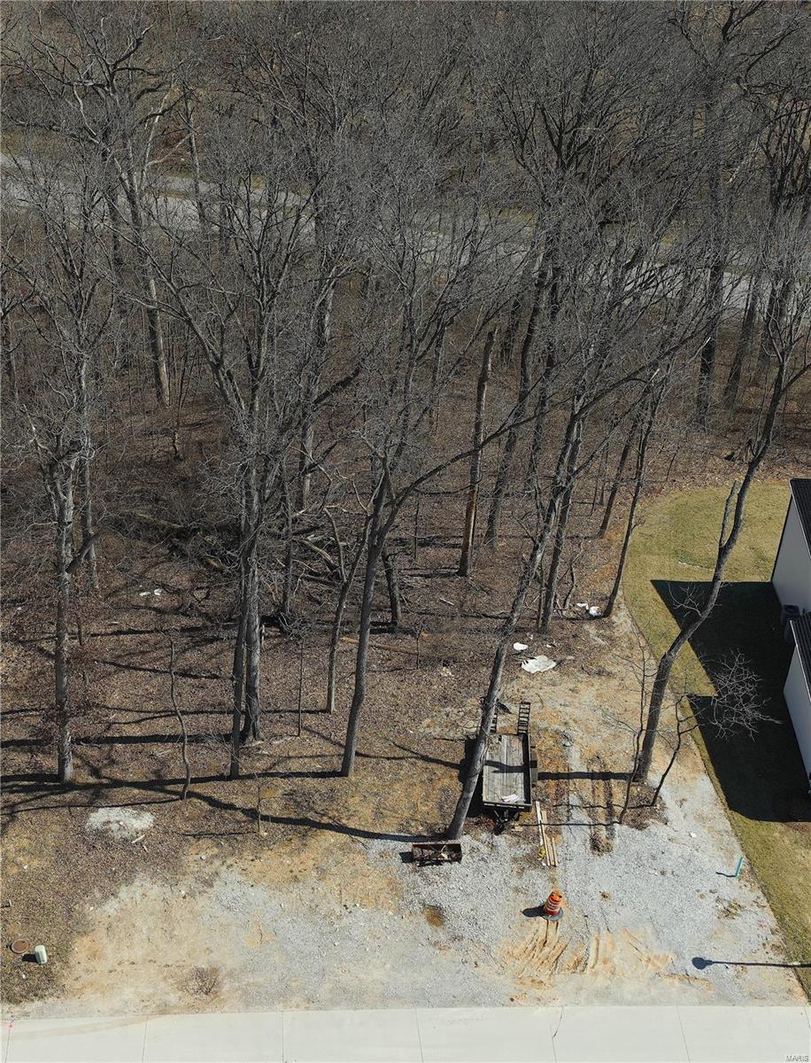 220 Ella Rose St. Charles, MO 63304 - Photo 2 of 8