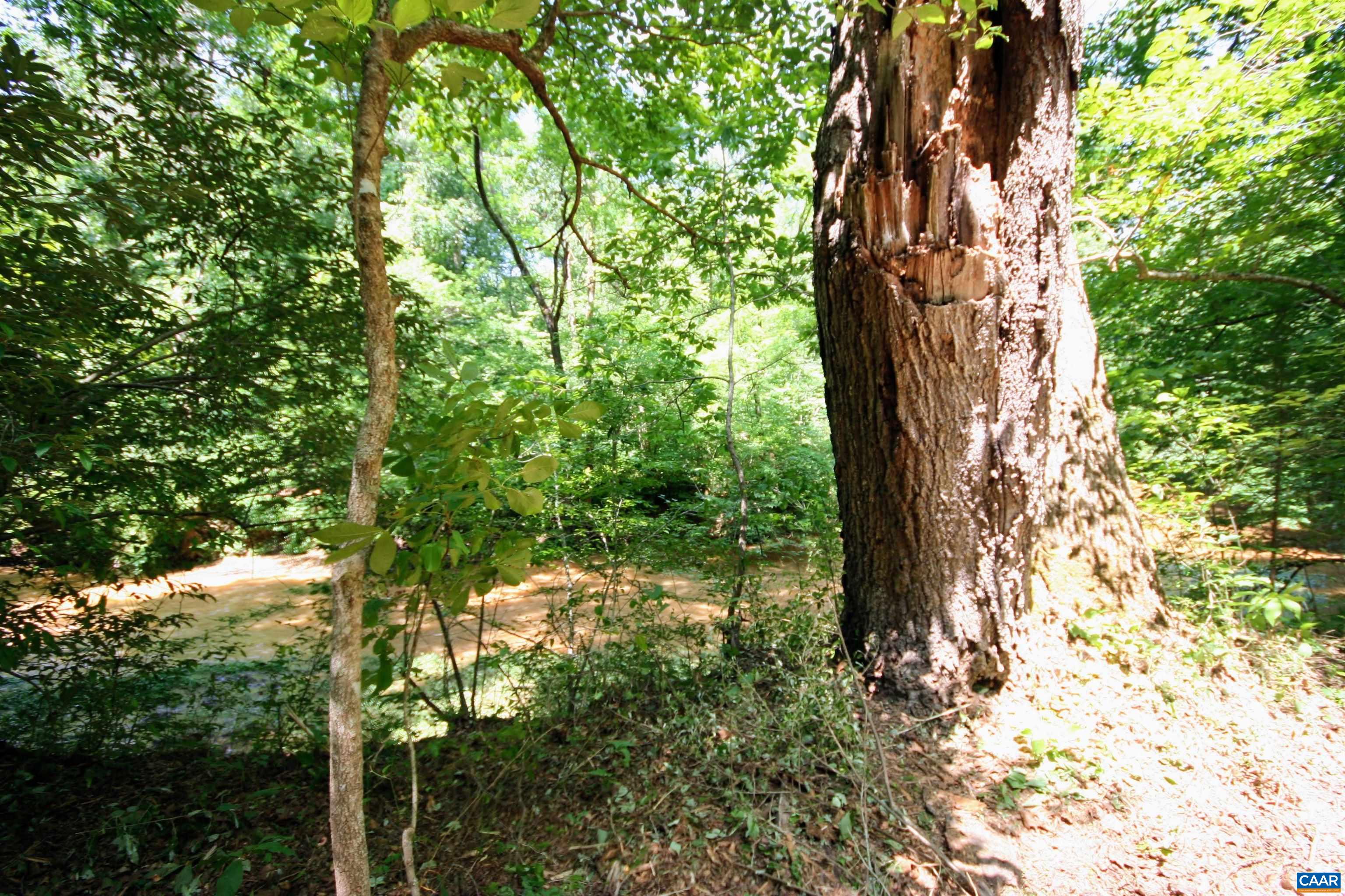 Hardware Road Scottsville, VA 24590 - Photo 39 of 72 Gallery Image 39