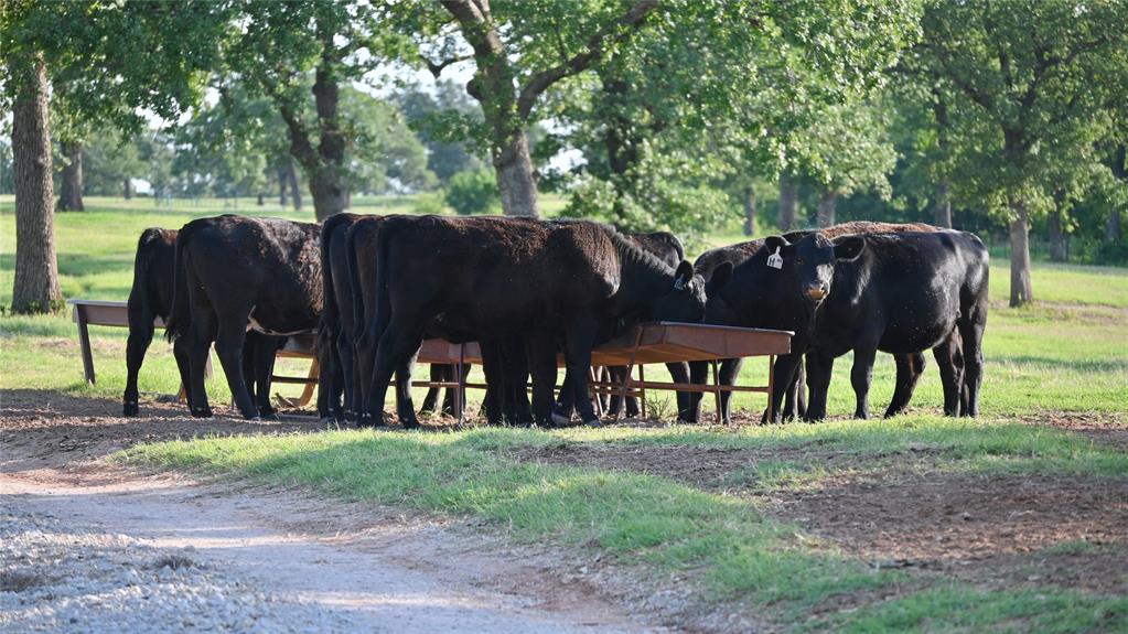 322 Liberty Chapel Road St. Jo, TX 76265 - Photo 12 of 40