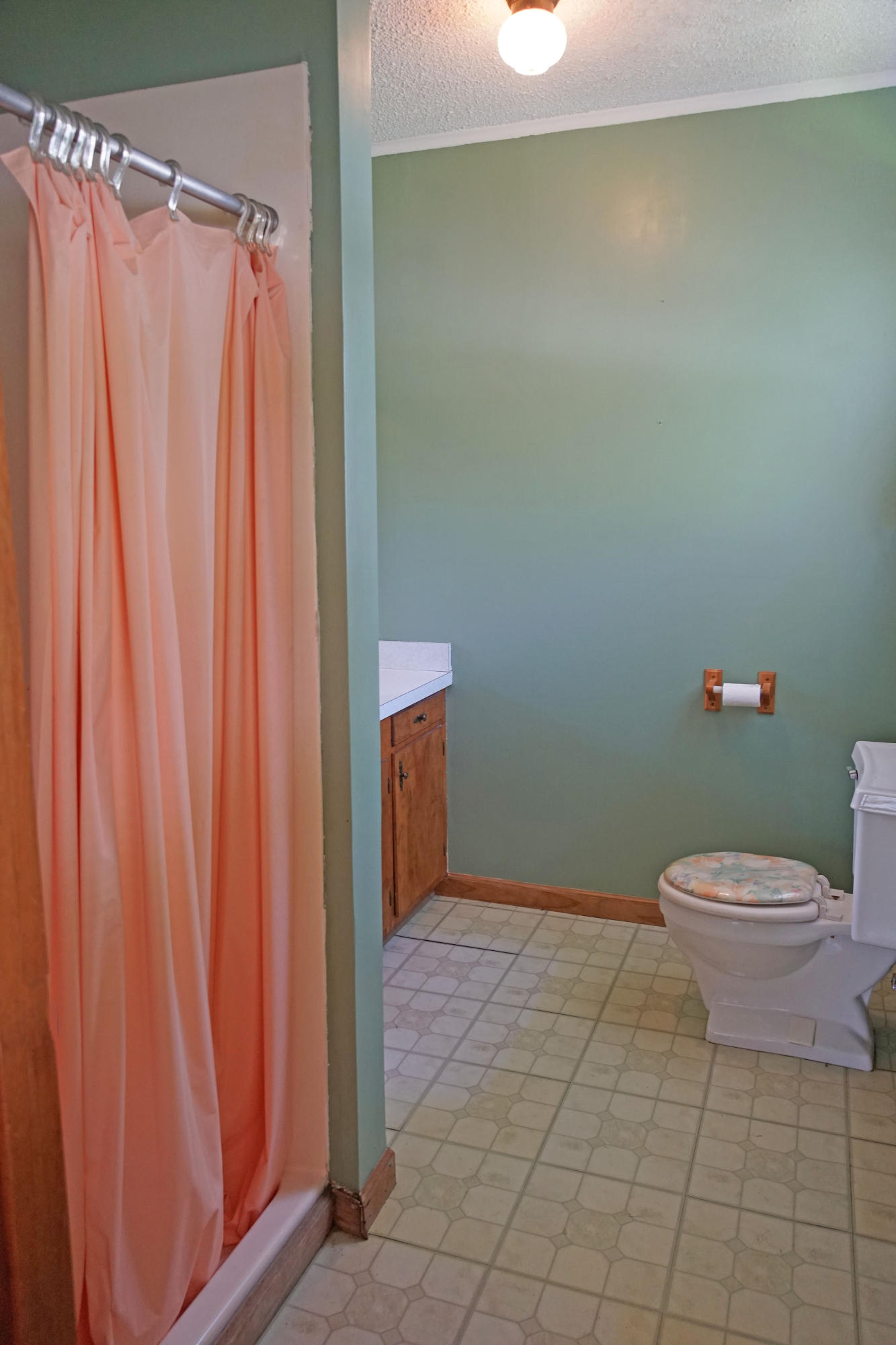 595 Dantzler Street Elloree, SC 29047 - Photo 29 of 36 D Master bath1
