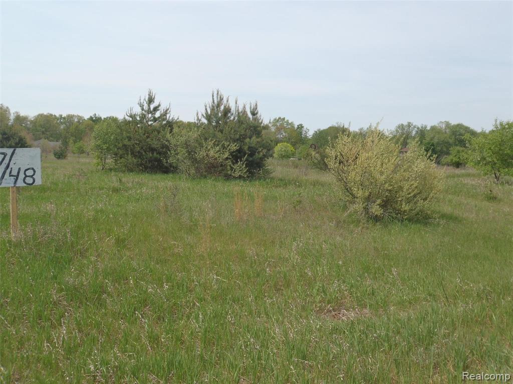 48 Bryde Drive Rives Junction, MI 49277 - Photo 2 of 8 Gallery Image 2