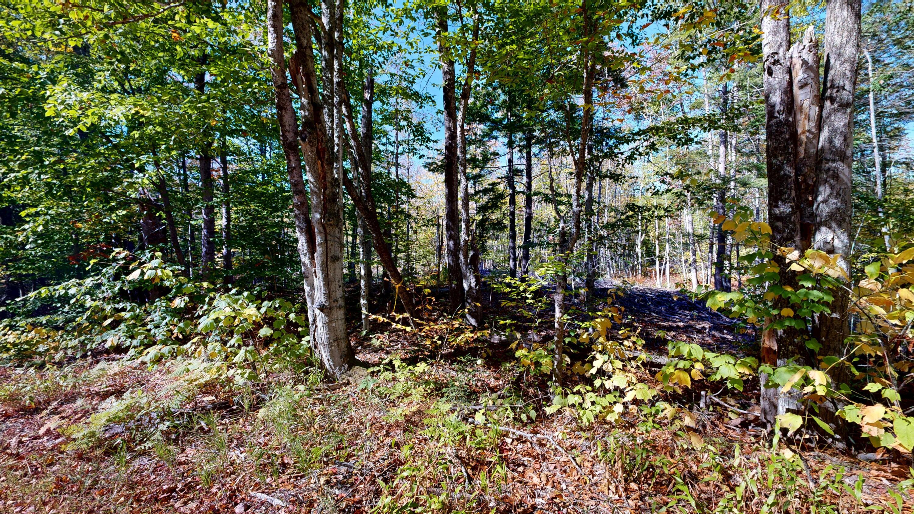Lot 21 A Station Road Hebron, ME 04238 - Photo 5 of 5 Station-Road-Lot-A-10122025_183923