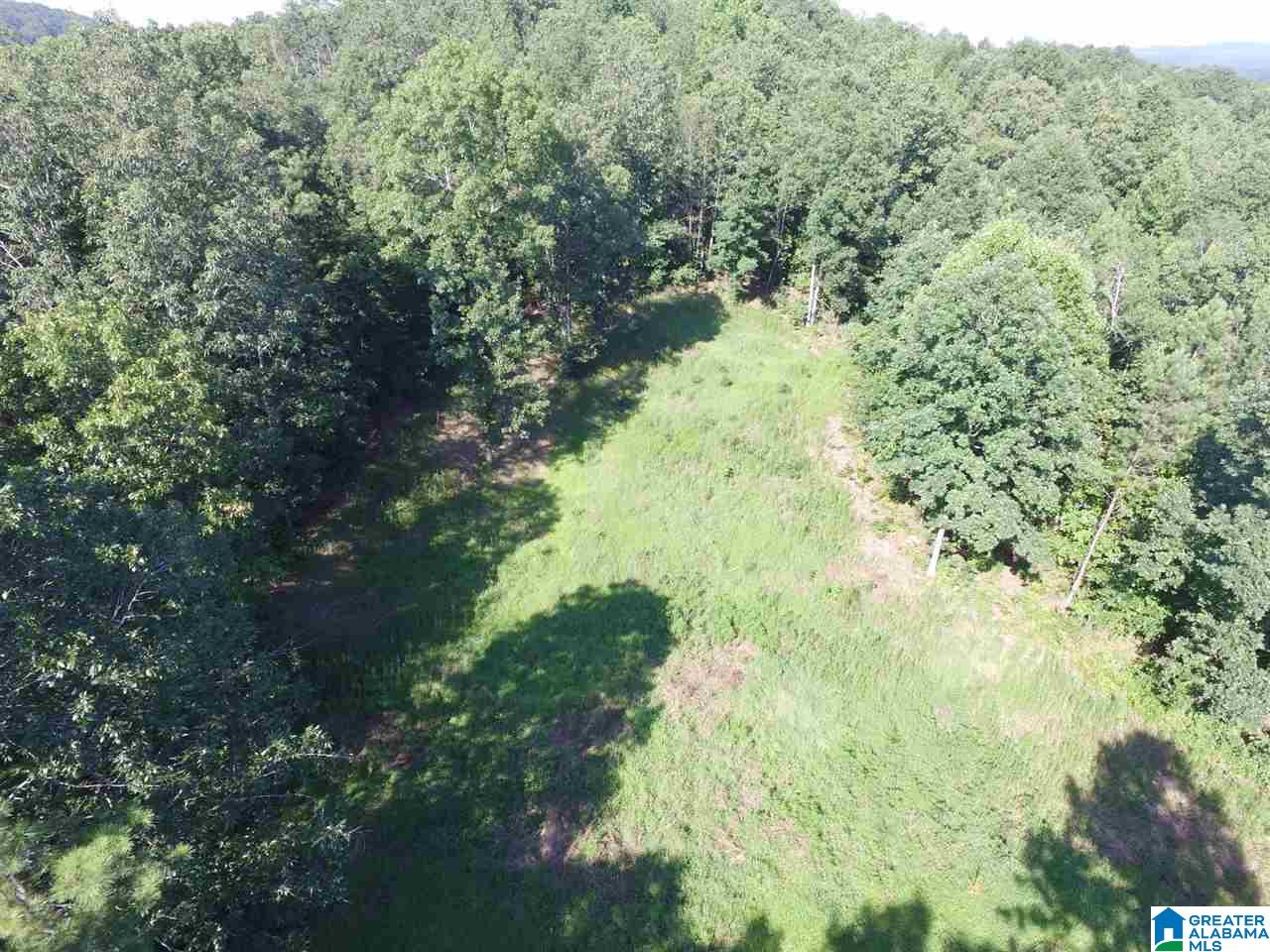 0 Carnes Chapel Road, Unit 113 Gallant, AL 35972 - Photo 20 of 32