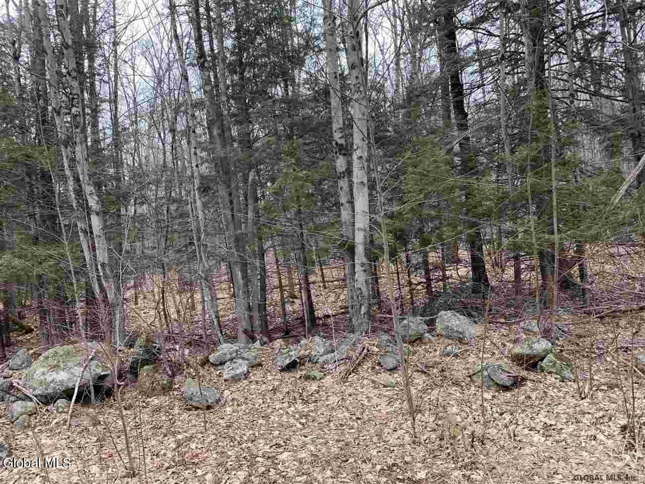 404 Toad Point Road Petersburgh, NY 12138 - Photo 7 of 19 404 Toad Point Rd winter pic