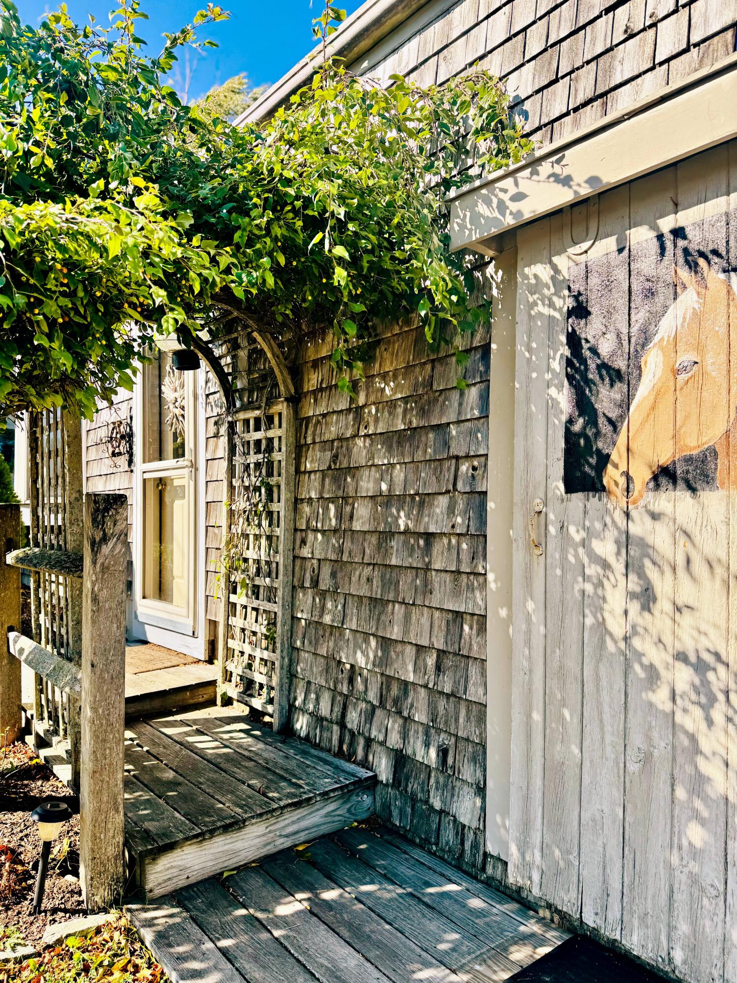 90 Johnson Cove Road Roque Bluffs, ME 04654 - Photo 104 of 185 lc batc lch_IMG_8302 2