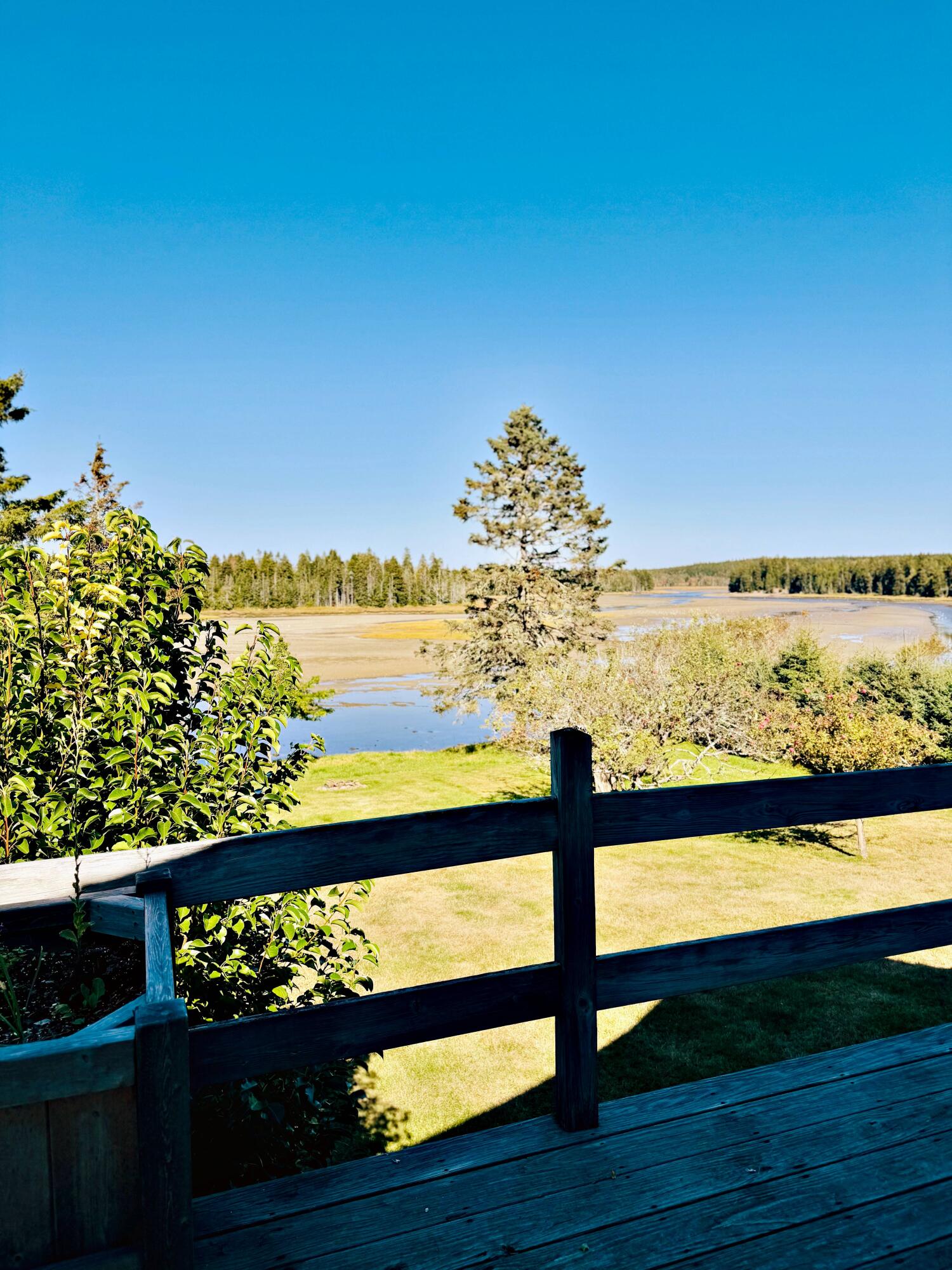 90 Johnson Cove Road Roque Bluffs, ME 04654 - Photo 112 of 185 lc batc lch_IMG_8273 2