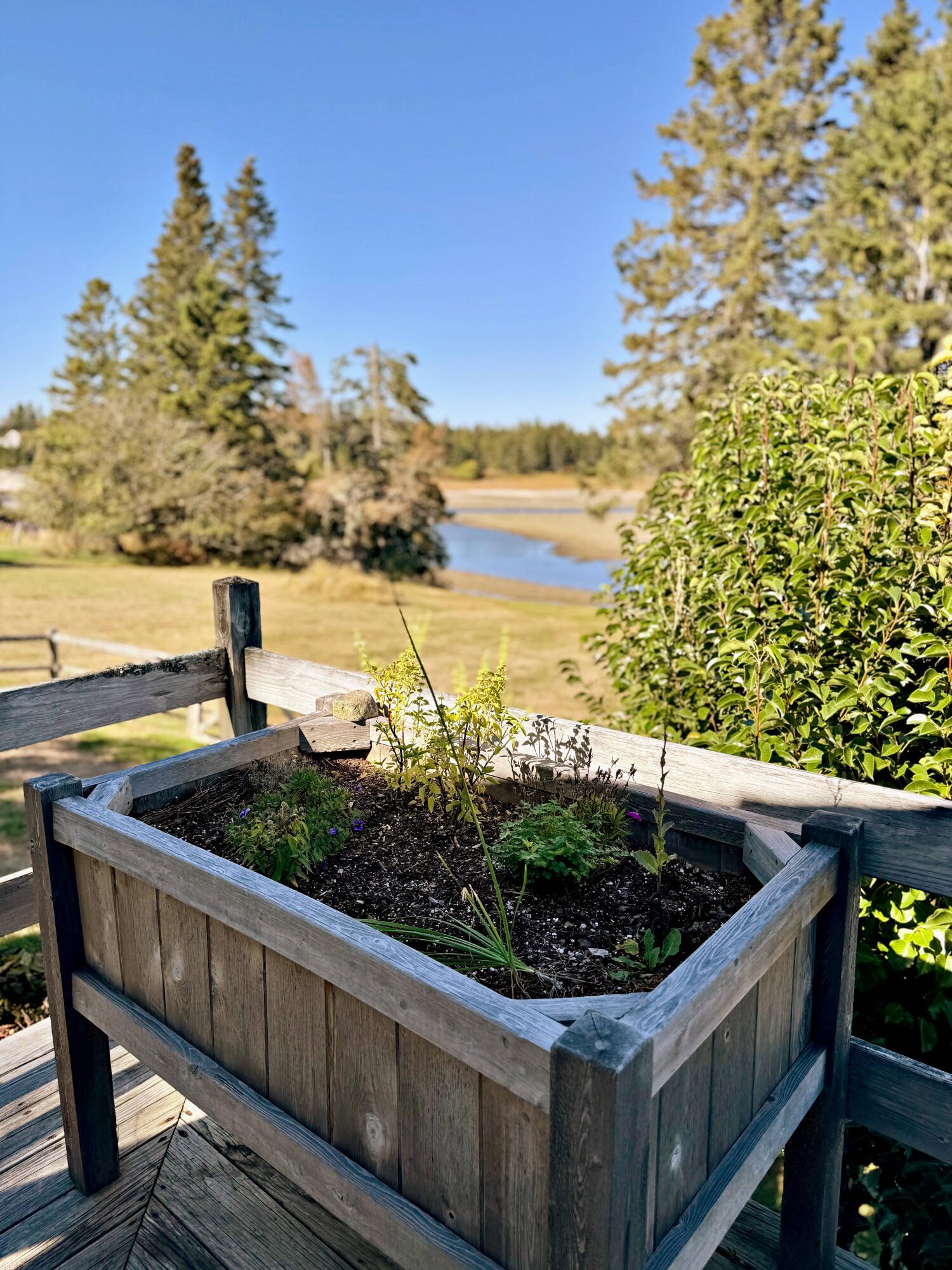 90 Johnson Cove Road Roque Bluffs, ME 04654 - Photo 117 of 185 lc batc lch_IMG_8264 2