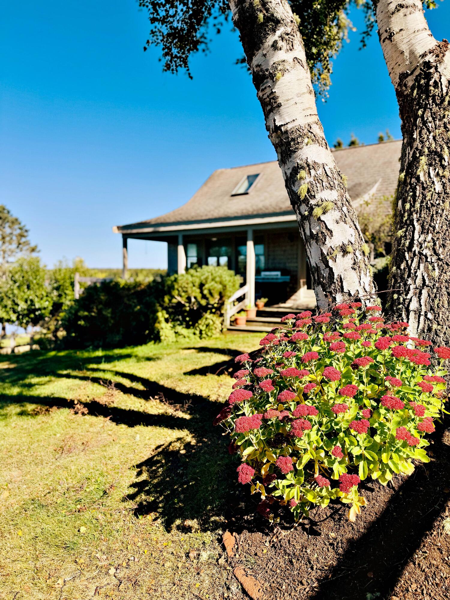 90 Johnson Cove Road Roque Bluffs, ME 04654 - Photo 136 of 185 lc batc lch_IMG_8271 2