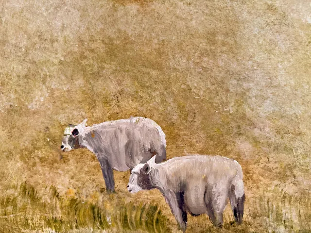 $689,000 | 90 Johnson Cove Road, Roque Bluffs, ME 04654