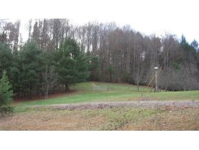 201 Polly Erwin Cemetery Road Erwin, TN 37650 - Photo 6 of 6 Photo 6