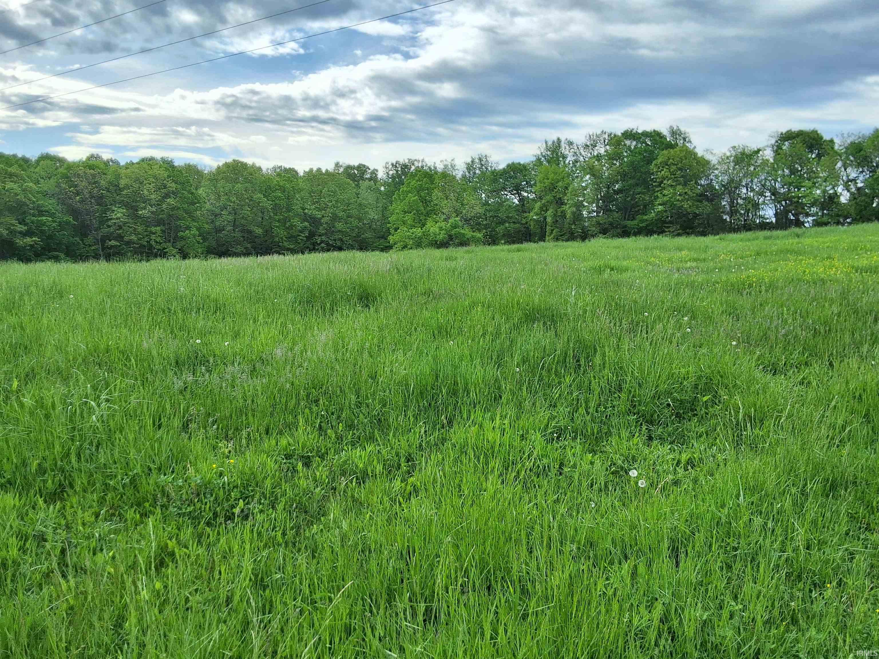 3782 East Bacon Ridge Road Marengo, IN 47140 - Photo 15 of 28