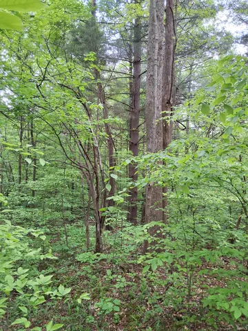 $249,000 | 3782 East Bacon Ridge Road, Marengo, IN 47140