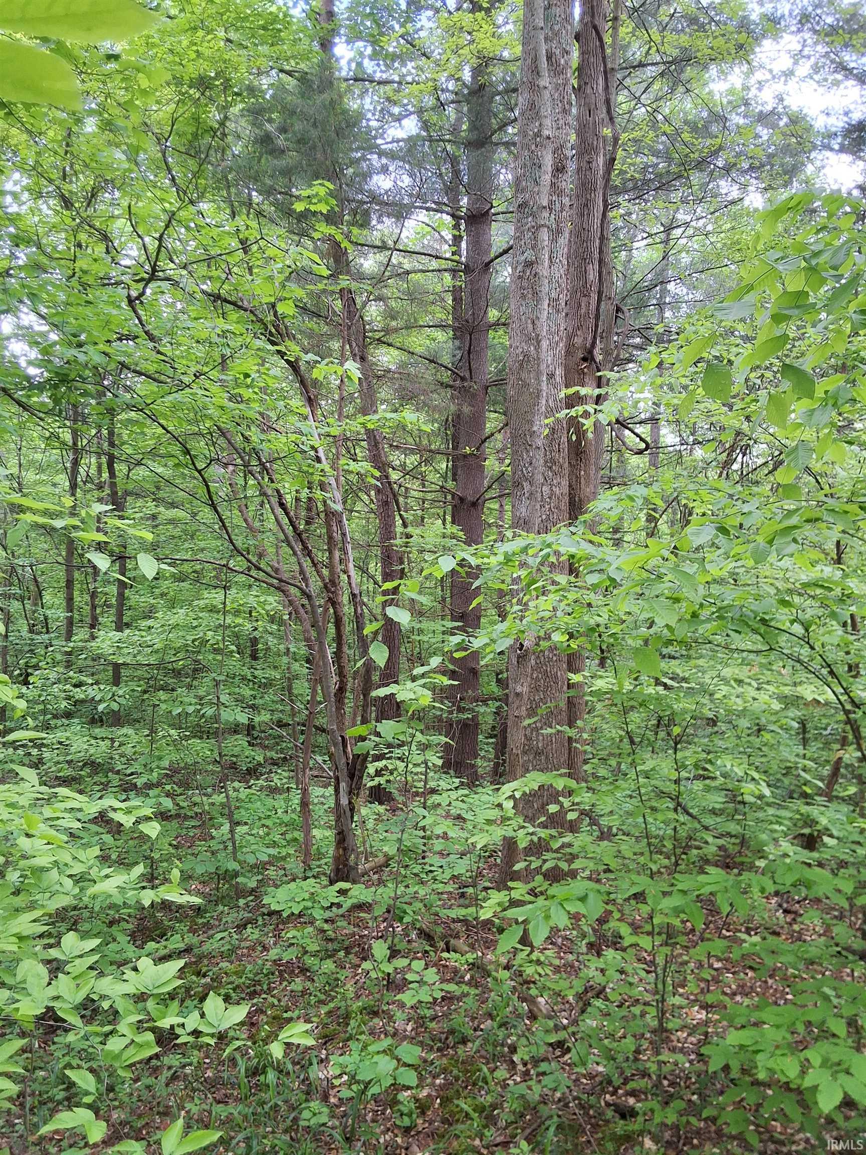 3782 East Bacon Ridge Road Marengo, IN 47140 - Photo 16 of 28