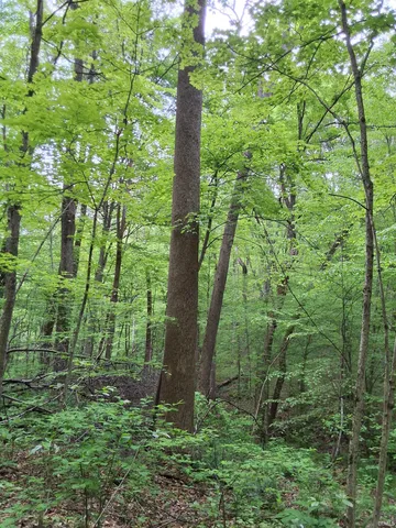 $249,000 | 3782 East Bacon Ridge Road, Marengo, IN 47140