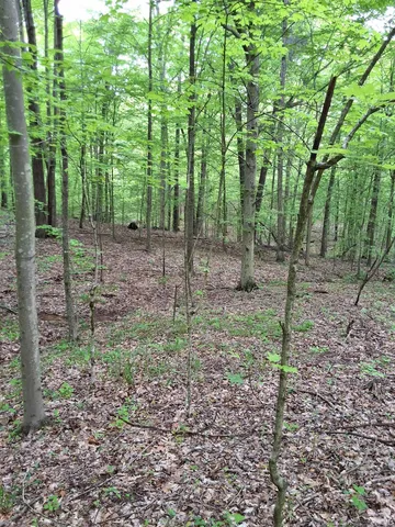 $249,000 | 3782 East Bacon Ridge Road, Marengo, IN 47140