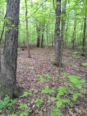 $249,000 | 3782 East Bacon Ridge Road, Marengo, IN 47140