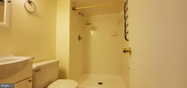 a bathroom with a shower and a toilet