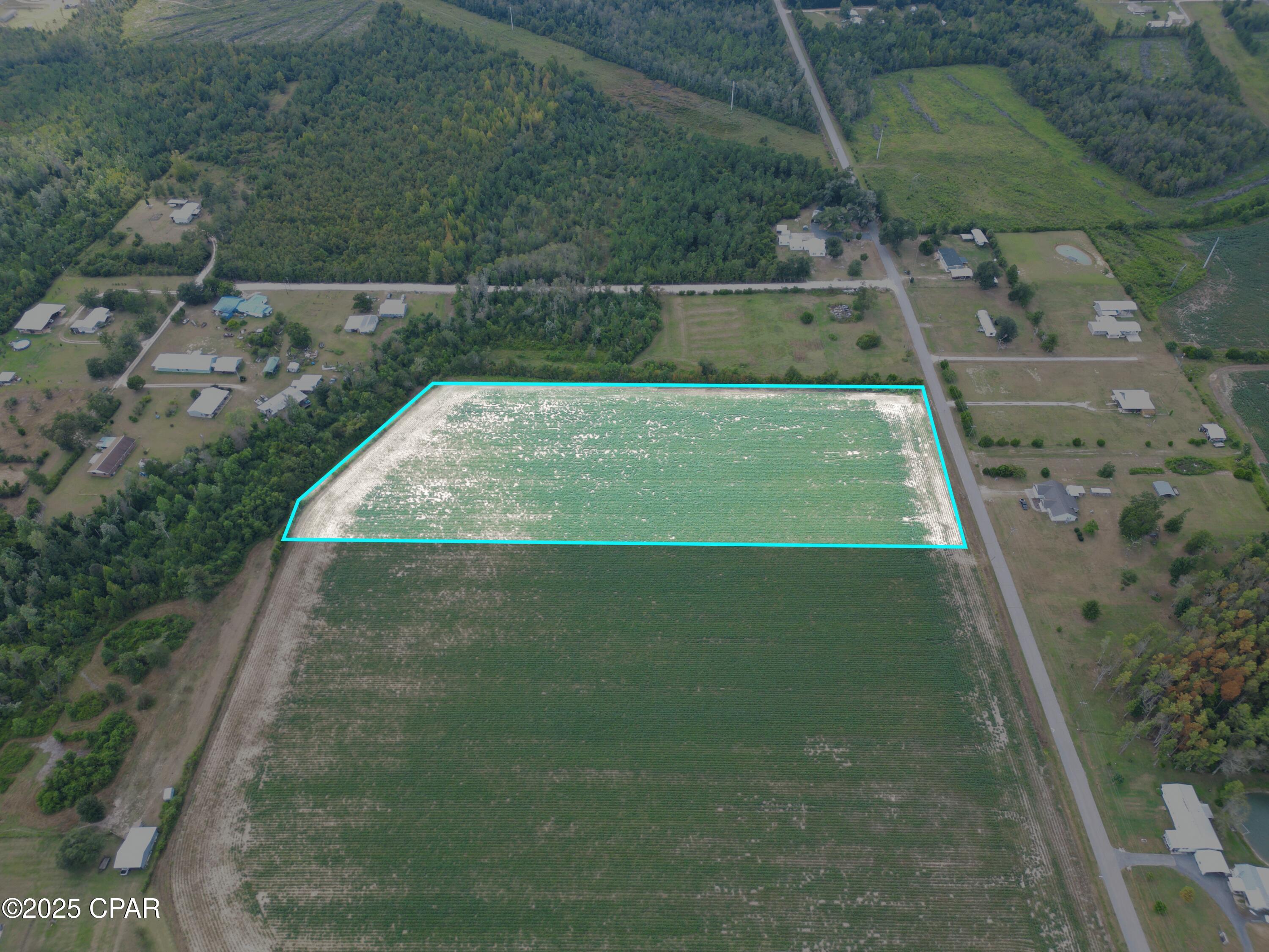 Tbd Northwest Ashley Shiver Road Northwest Altha, FL 32421 - Photo 9 of 11 Gallery Image 9
