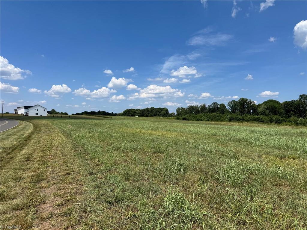 Lot #8 Sandy Springs Road Mocksville, NC 27028 - Photo 4 of 5