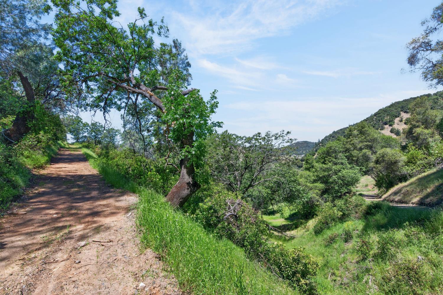 7570 Airola Road Vallecito, CA 95251 - Photo 85 of 90 an aerial view of a house with a yard