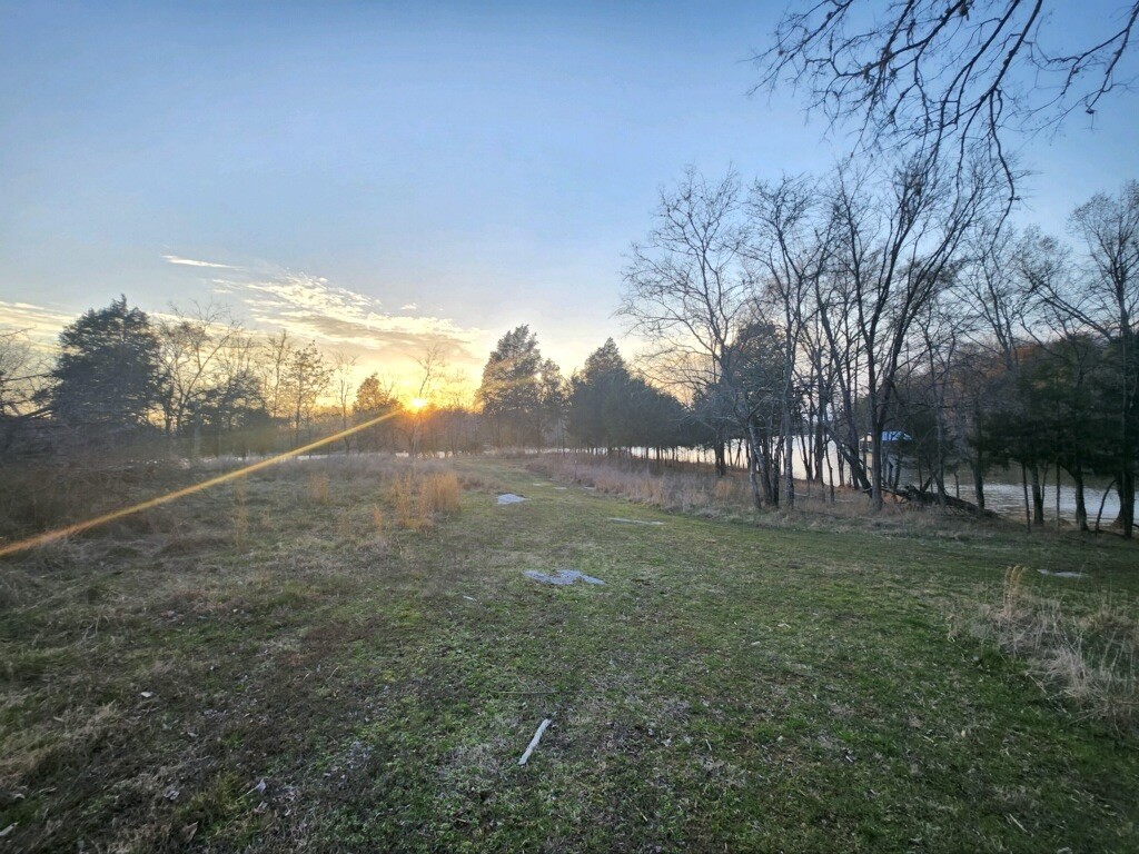 611 Flippen Road Lebanon, TN 37087 - Photo 3 of 12 a view of a field with trees in the background