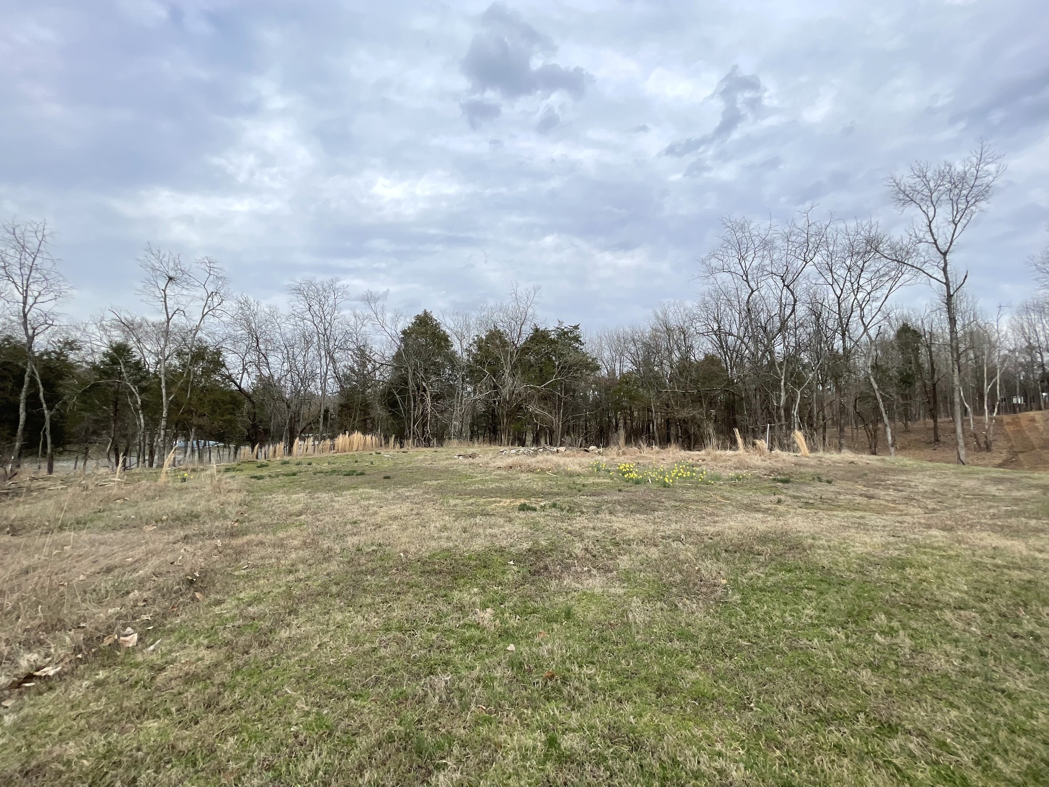 611 Flippen Road Lebanon, TN 37087 - Photo 4 of 12 a view of field with trees in background