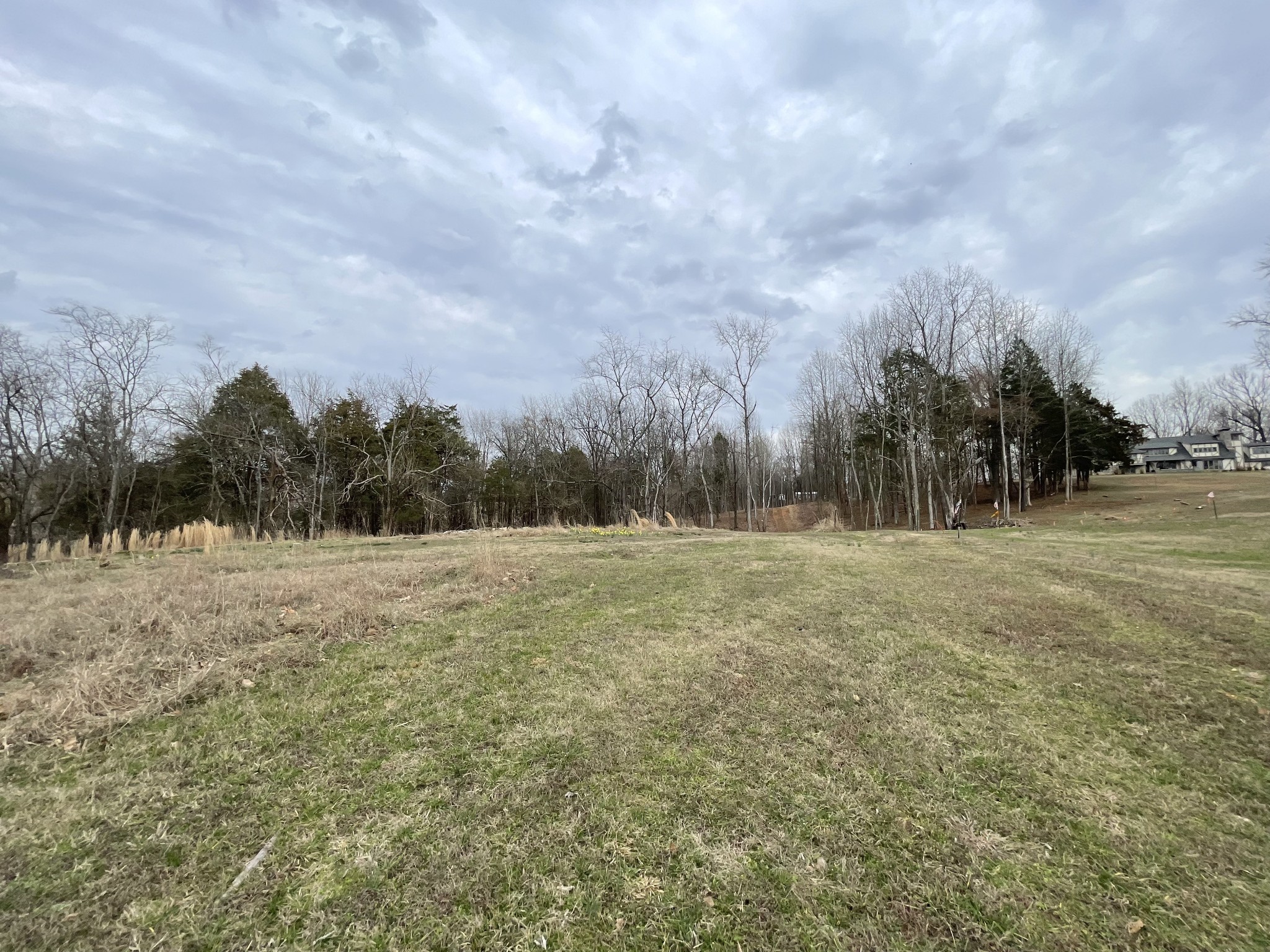 611 Flippen Road Lebanon, TN 37087 - Photo 6 of 12 a view of dirt field with trees in background