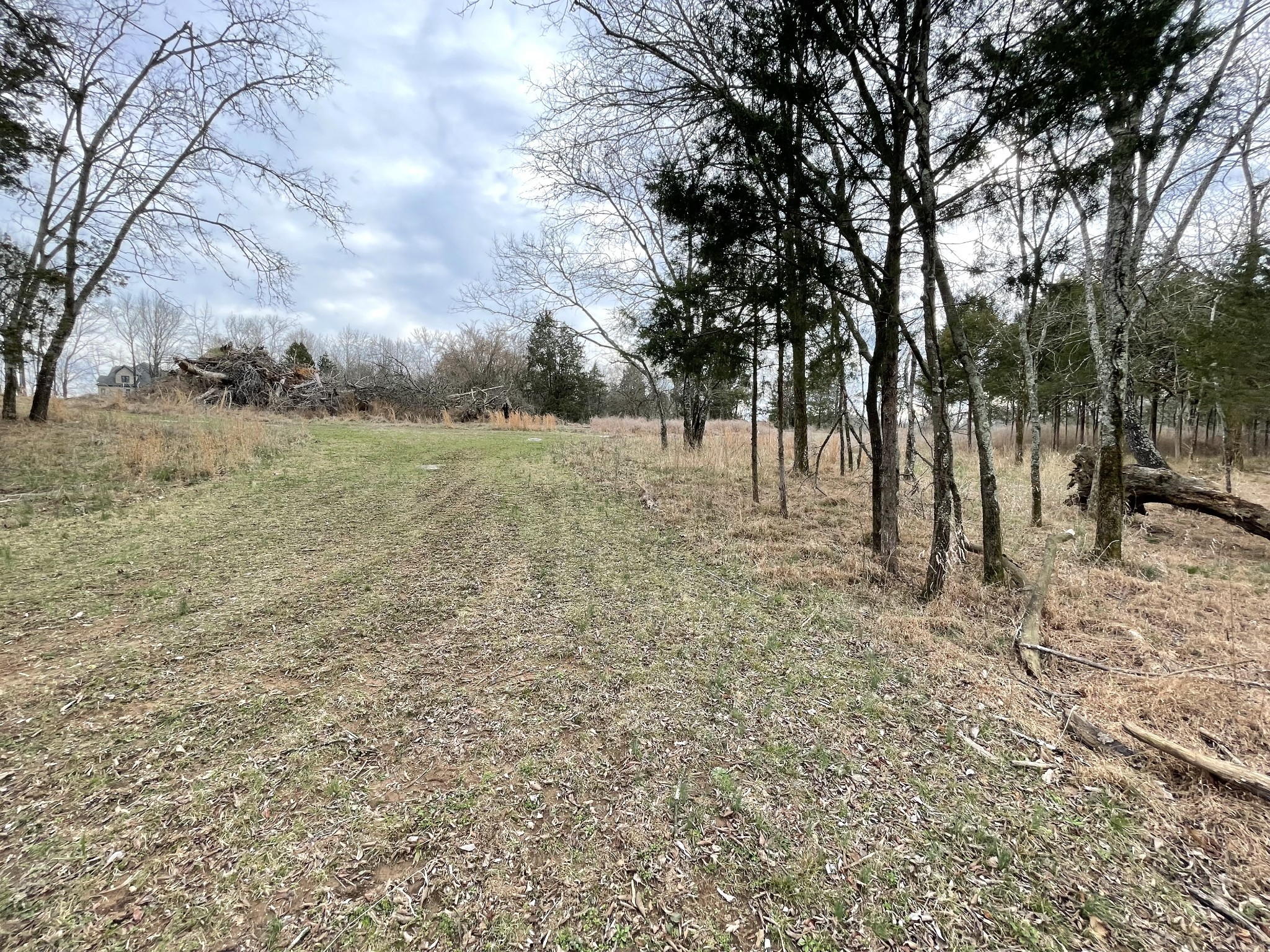 611 Flippen Road Lebanon, TN 37087 - Photo 7 of 12 a view of outdoor space with trees
