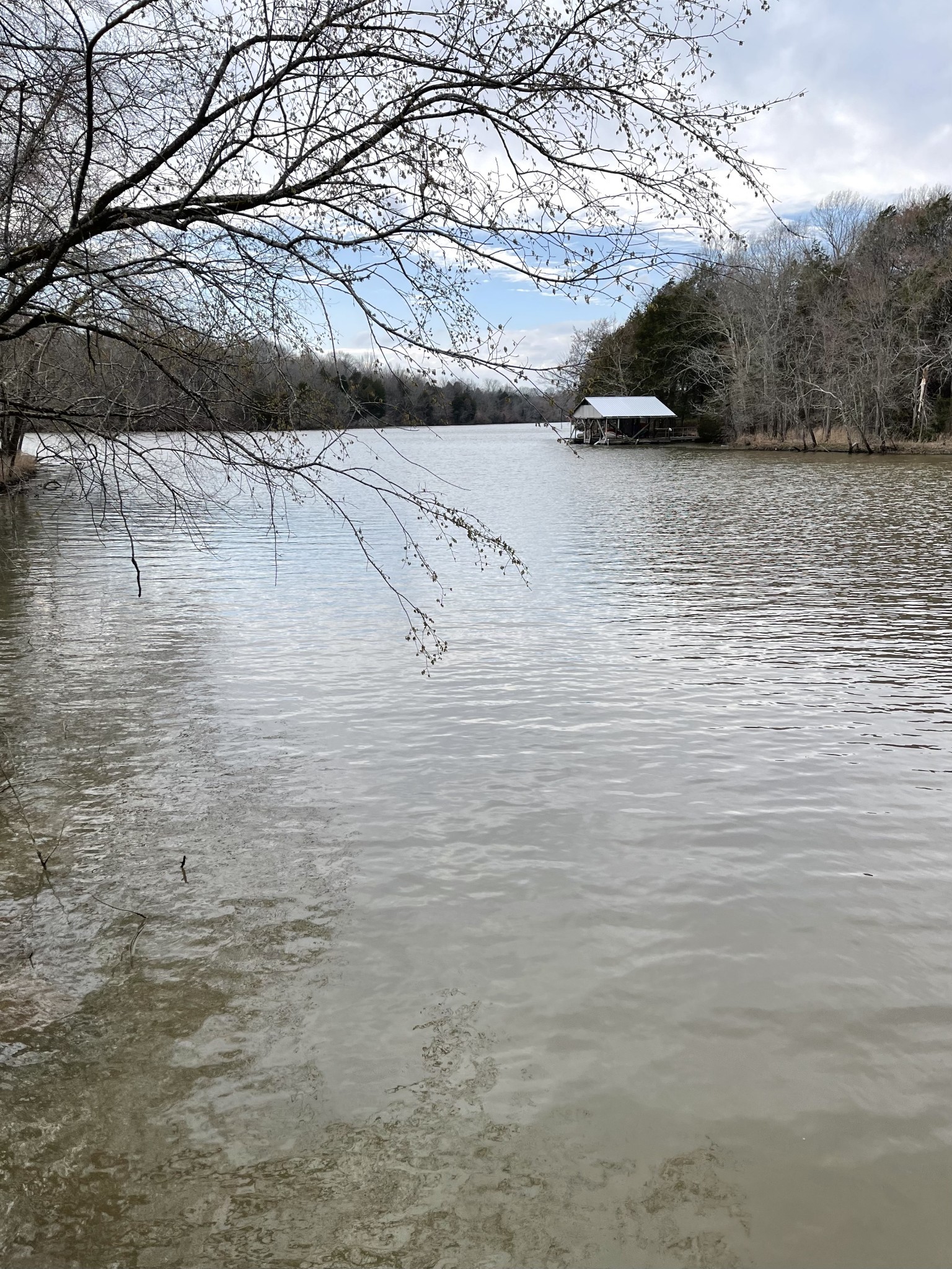 611 Flippen Road Lebanon, TN 37087 - Photo 9 of 12 a view of ocean