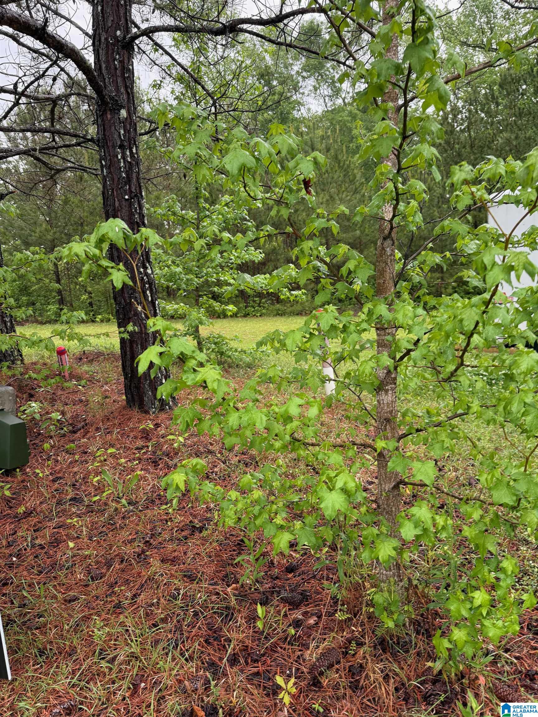 940 Legacy Cove North, Unit 69 Springville, AL 35146 - Photo 3 of 3