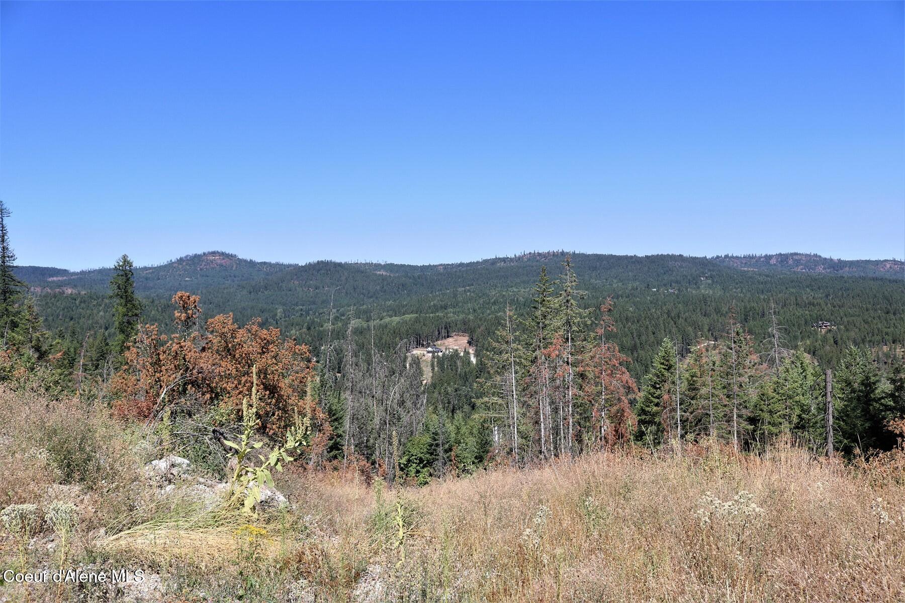 700 Outlook Road Cocolalla, ID 83813 - Photo 10 of 32 IMG_6469
