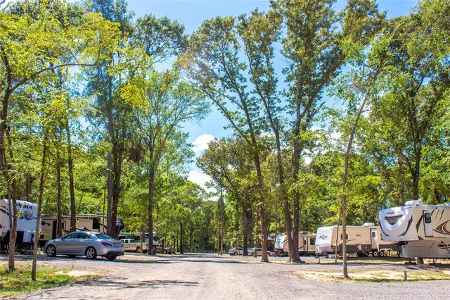 a view of a town with large trees
