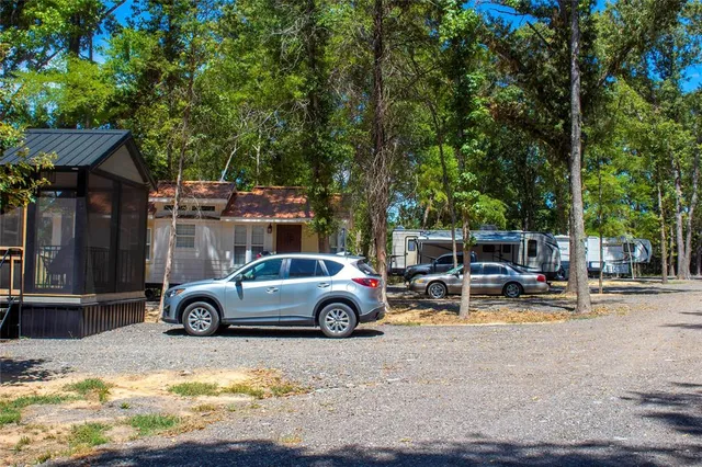 a view of a park with bench and trees
