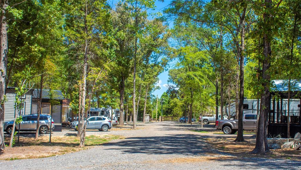 6801 Fm 1616 Athens, TX 75752 - Photo 5 of 28 a view of a park with bench and trees