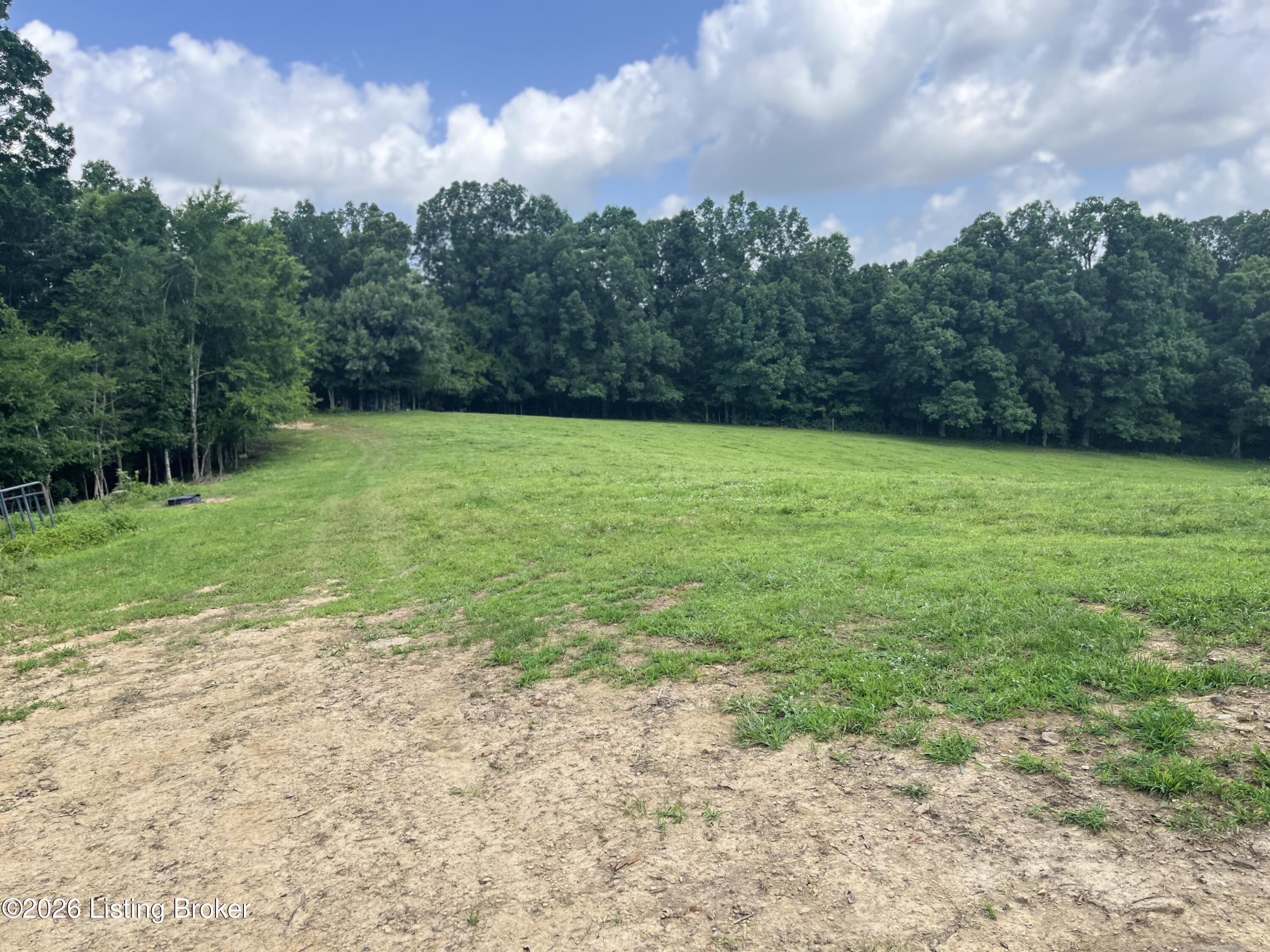 5545 Rabbit Flat Road Caneyville, KY 42721 - Photo 61 of 69 IMG_8156