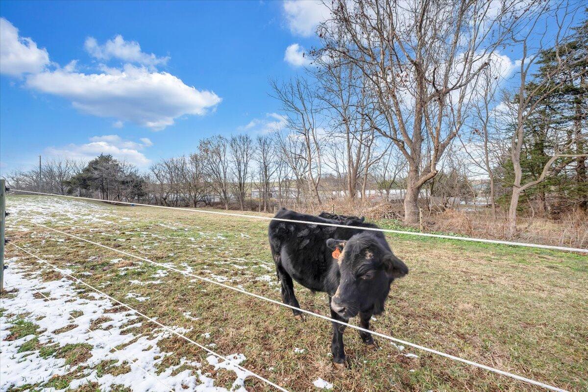 77 Hardbarger Road Buchanan, VA 24066 - Photo 33 of 40 27-MIB04256