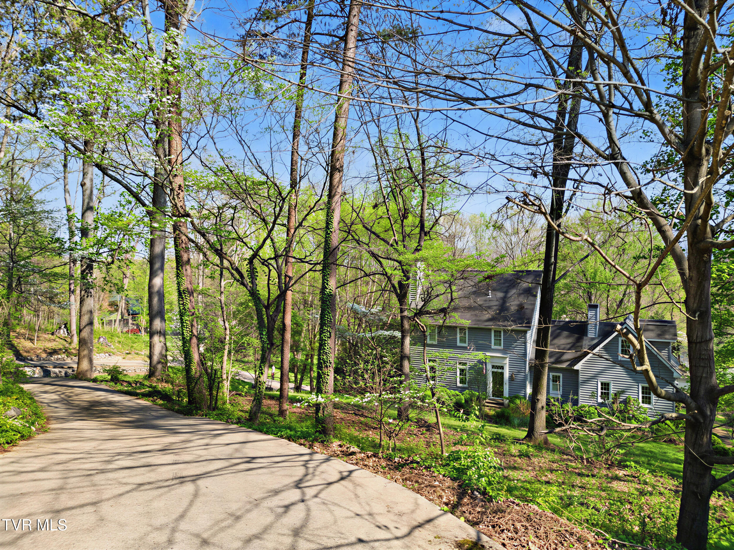 150 Pine Straw Ridge Greeneville, TN 37745 - Photo 33 of 40 41_1