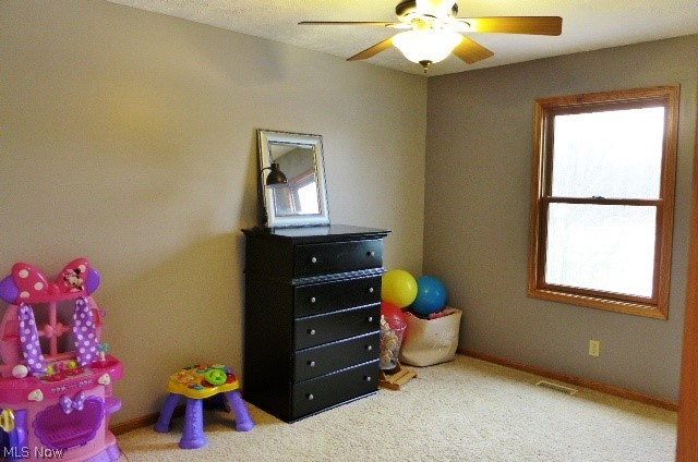 998 State Road Geneva, OH 44041 - Photo 24 of 25 Gallery Image 24