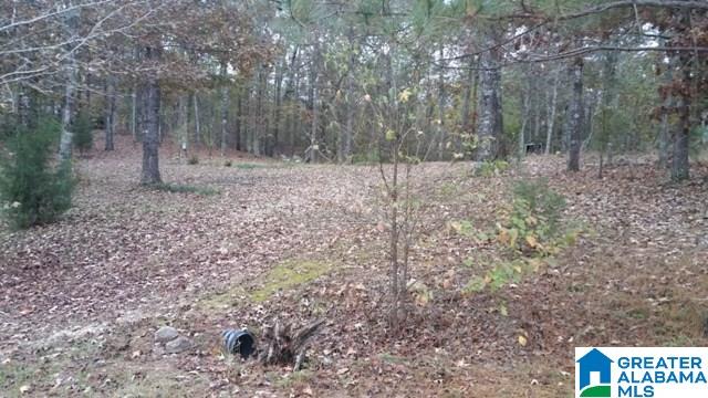 135 Honeysuckle Way, Unit 1 Riverside, AL 35135 - Photo 1 of 14