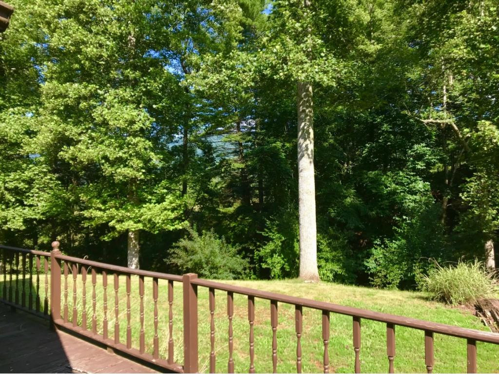 303 Cove Ridge Road Butler, TN 37640 - Photo 2 of 15 Photo 2