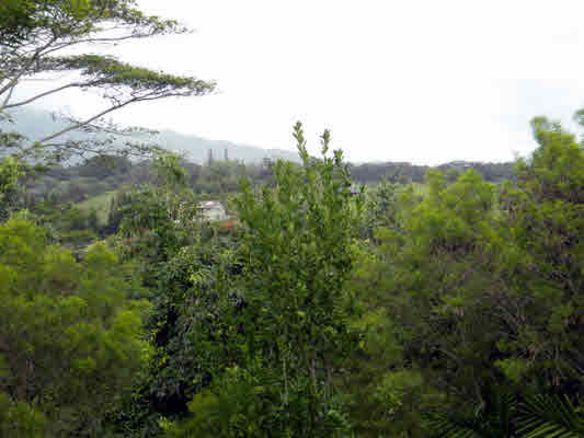 6392 Kalama Road, Unit 4 Kapaa, HI 96746 - Photo 24 of 24 a view of a city