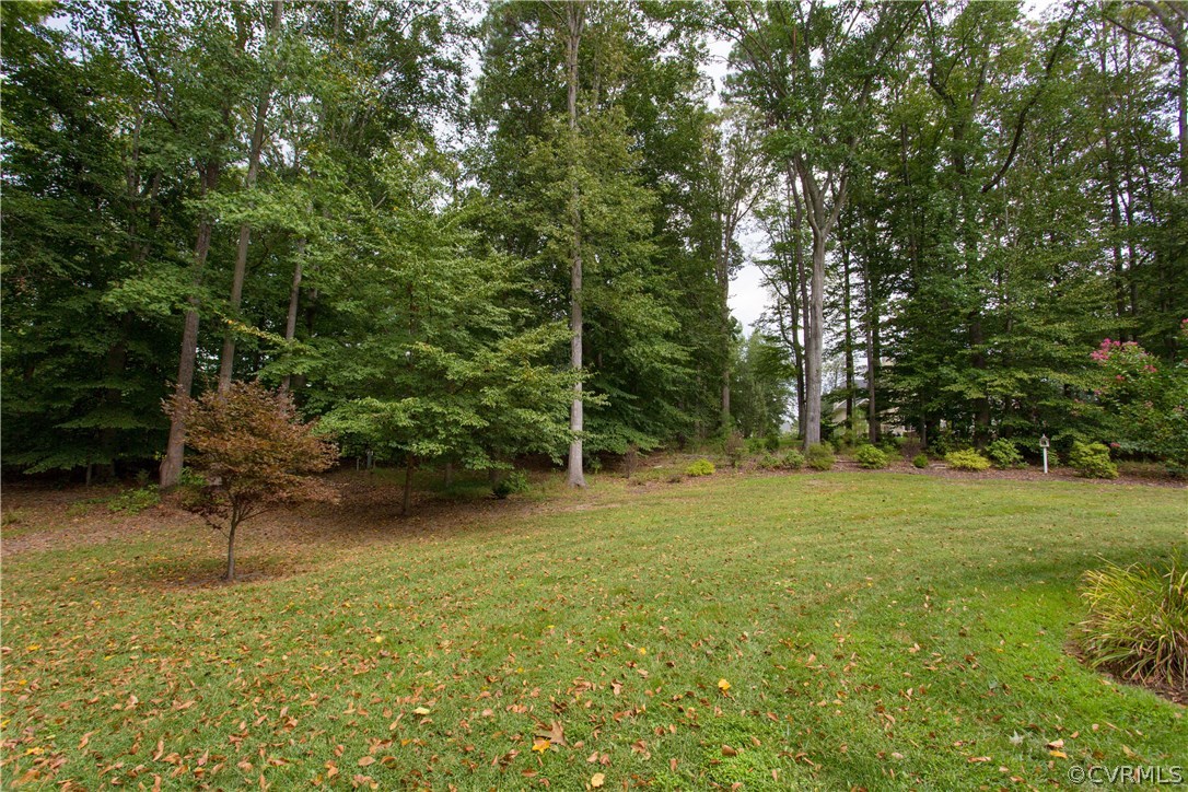 3613 Salles Ridge Court Midlothian, VA 23113 - Photo 36 of 36 a view of outdoor space and yard